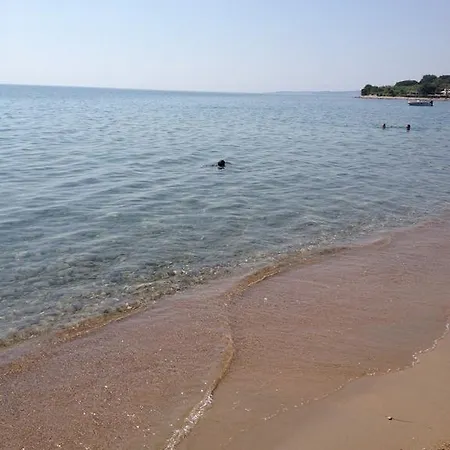 Janis Сasa de vacaciones Chrani